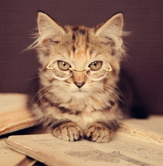 Read Until Tomorrow, Mr. Marsworth: An Interview with Author Sheila O’Connor About Penpals and Protests