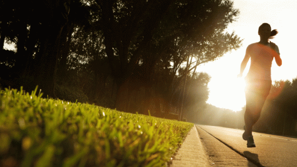 Read 7 Books That Belong On Every Runner’s Bookshelf