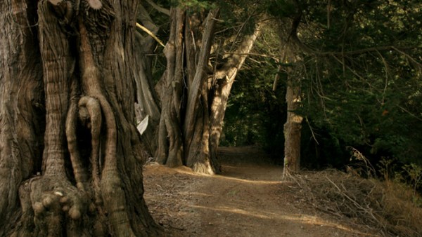 Read 7 Characters We’d Like to See Living in Other Books’ Worlds