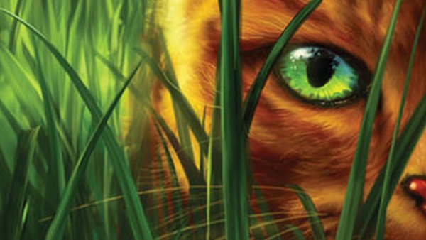 Read Erin Hunter’s Warriors Series: A Primer