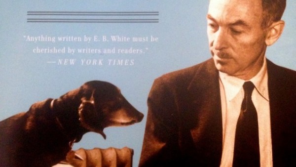 Read 4 Books to Read When You’re Down
