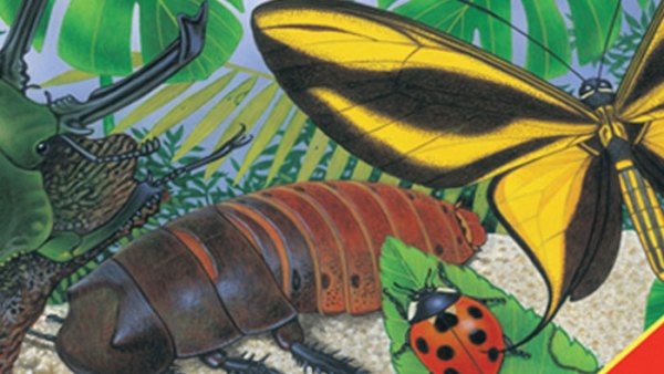 Read All the Buzz: 6 Great Children’s Books About Insects