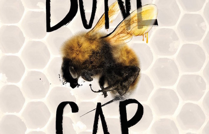 Bone Gap