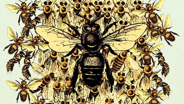 Read In the Wild: 6 Books from an Animal’s Point of View