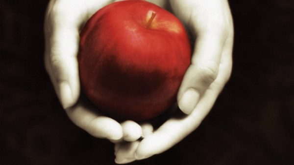 Read The Fascinating Origin Stories of 7 Famous Novels