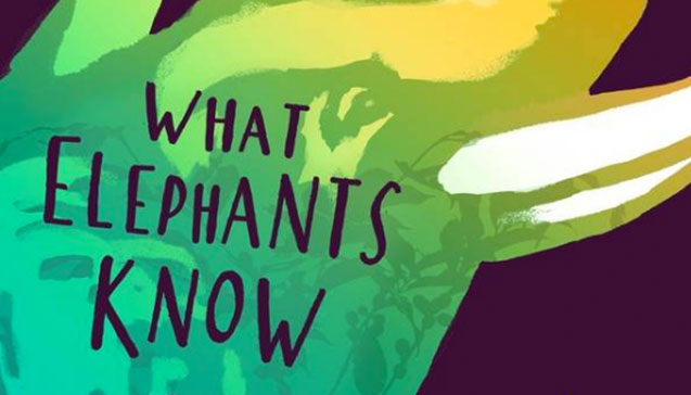 What Elephants Know