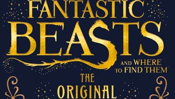 Read 9 Reasons You Must See Fantastic Beasts And Where To Find Them