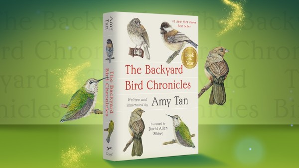 Read My Place of Private Solace: Amy Tan Exclusive Guest Post