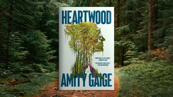Read Being Found: A Guest Post by Amity Gaige