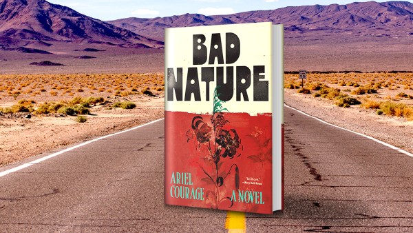 Read The Mood of My Times: A Guest Post by Ariel Courage