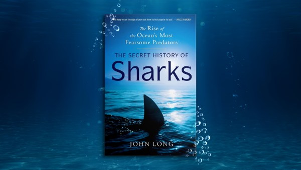 Read Super Sharks: A Guest Post by John Long