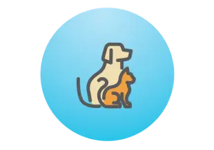 dog and cat